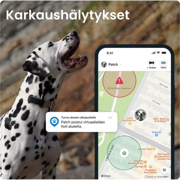 Tractive DOG 6 GPS-spårare