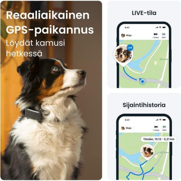 Tractive DOG 6 GPS-spårare