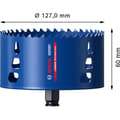 Miniatyrbild 10 av 10: Bosch Professional Sierra Crown Expert Tough Material Power Change 127 Mm Durchsichtig