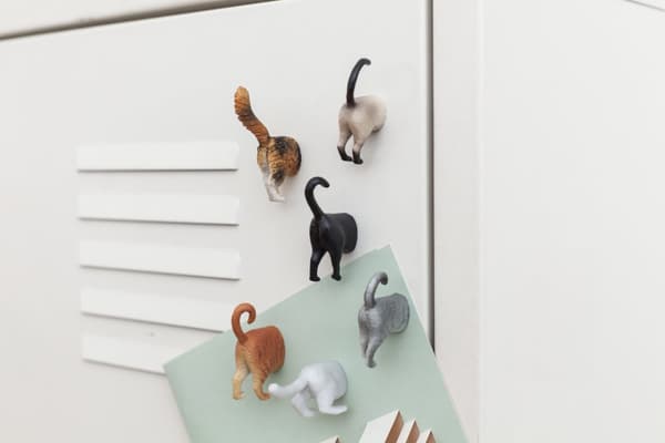 Magneter Cat Butt 6-pack
