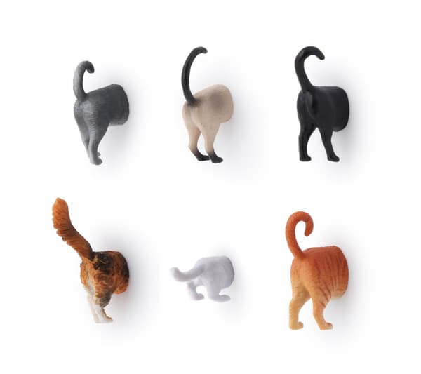 Magneter Cat Butt 6-pack