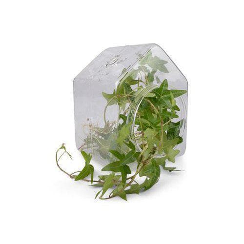 Ampel Glashus Form Living