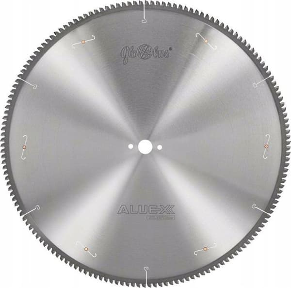 Palier - självalignering av Globus - PS415-0350-0005 - CIRCULÄR SCI DNPDe 350x30x3.6/108 GA-5