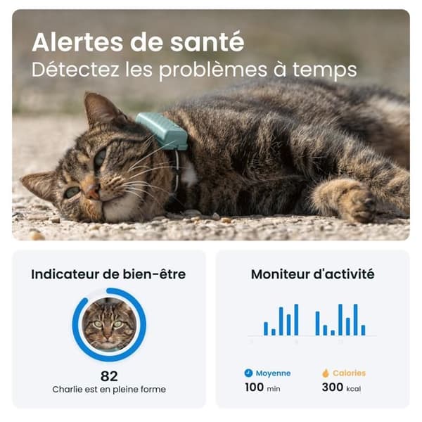 Tractive CAT Mini – GPS-halsband för katt med hälsomonitor – Mint