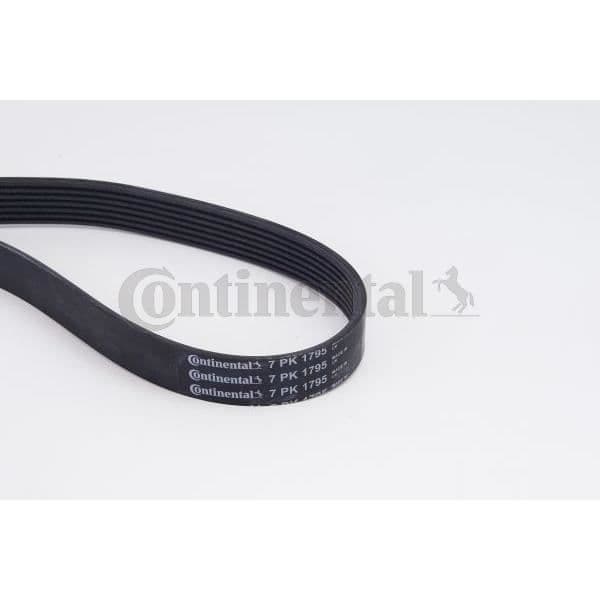CONTITECH Bältesats 7PK1795K1