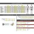 Miniatyrbillede 2 af 2: Handsker OMP First-S Sort XS FIA 8856-2018