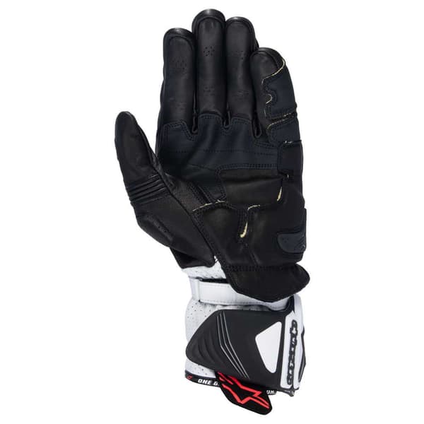 Alpinestars Gp Pro R4 Handskar Svart XL