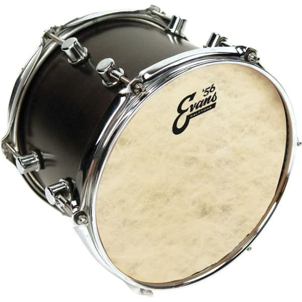Evans TT18C7 - Calftone tom huvud, 18 tum