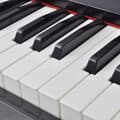 Miniatyrbild 2 av 8: Digitalpiano Med Pedaler Och 88 Tangenter Melaminbräda Svart