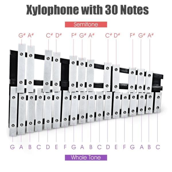 Klockspel Xylofon, 55.88x33.02x5.08 cm, Svart Silver