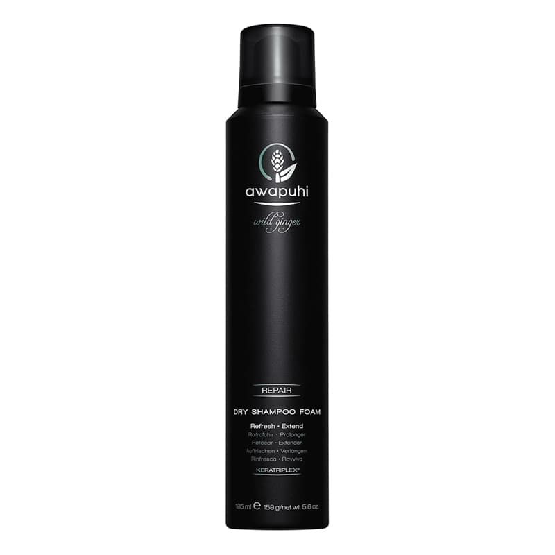 Paul Mitchell Awapuhi Wild Ginger Repair Dry Shampo Foam 195ml