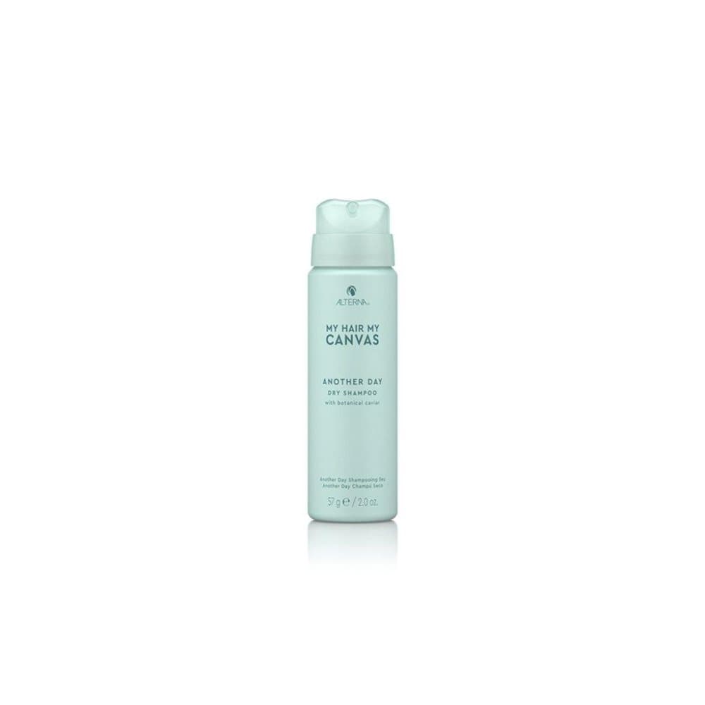 Alterna My Hair My Canvas - Another Day Dry Shampoo 57g