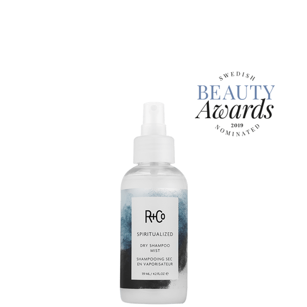 R+Co R+Co Spiritualized Dry Shampoo Mist 119ml - Torrschampo