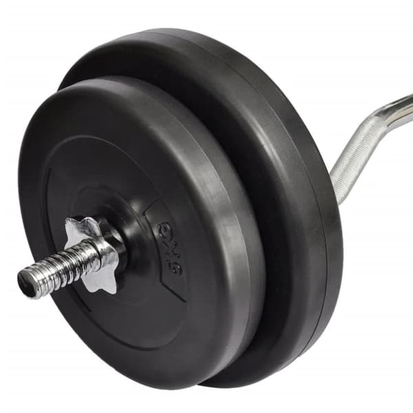 vidaXL Curl-stang med vekter 30 kg