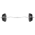 Miniatyrbilde 2 av 4: vidaXL Curl-stang med vekter 30 kg