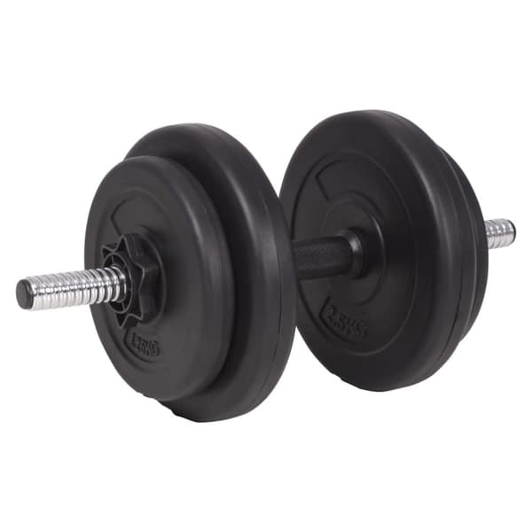 vidaXL Vektstang- og manualsett 120 kg