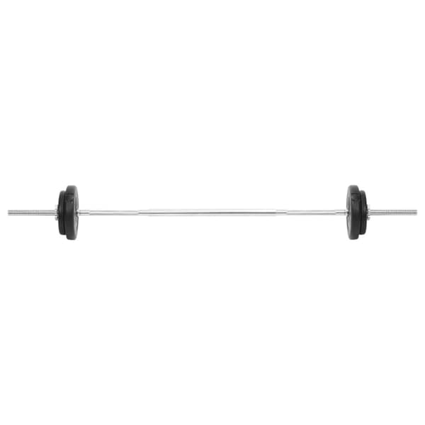 vidaXL Skivstång och hantlar set 30 kg