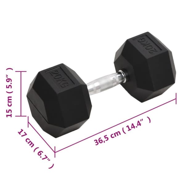 vidaXL Hantel 20 kg gjutjärn