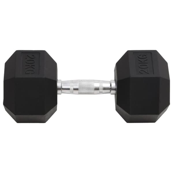 vidaXL Hantel 20 kg gjutjärn