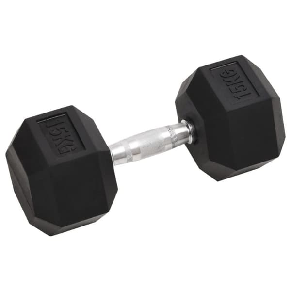 vidaXL håndvægte 2 stk. 30 kg støbejern