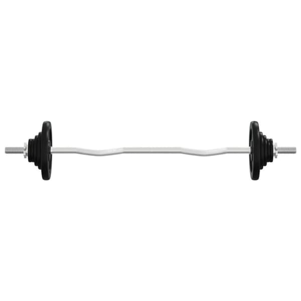 vidaXL Skivstång med vikter 30 kg gjutjärn & krompläterat stål