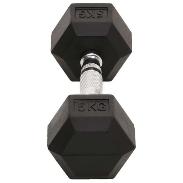 vidaXL Hantlar 2 st 10 kg gjutjärn