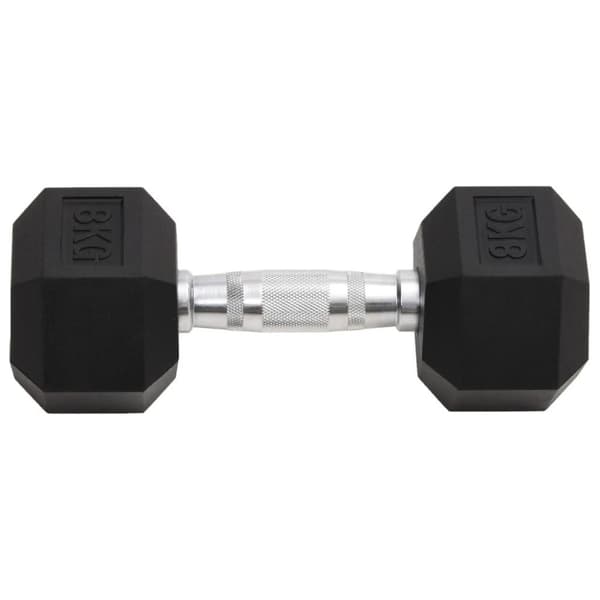 vidaXL Hantlar 2 st 16 kg gjutjärn