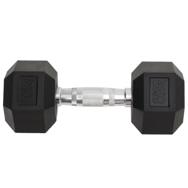 vidaXL Hantlar 2 st 16 kg gjutjärn