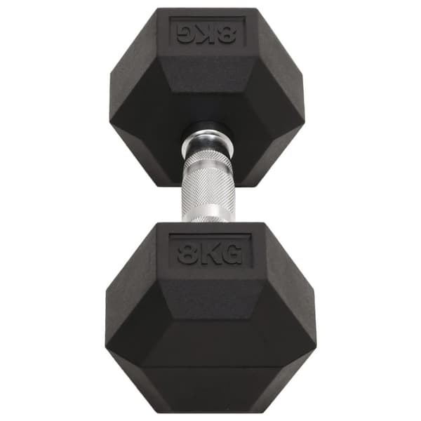 vidaXL Hantlar 2 st 16 kg gjutjärn