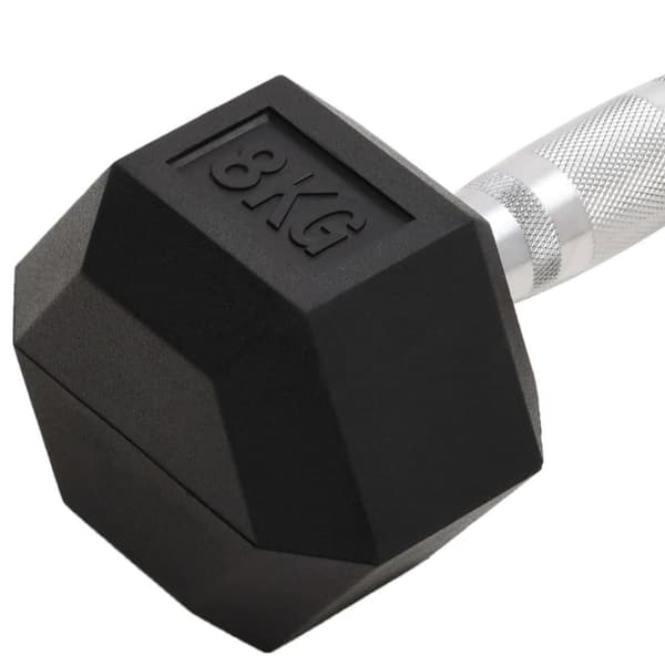 vidaXL Hantlar 2 st 16 kg gjutjärn