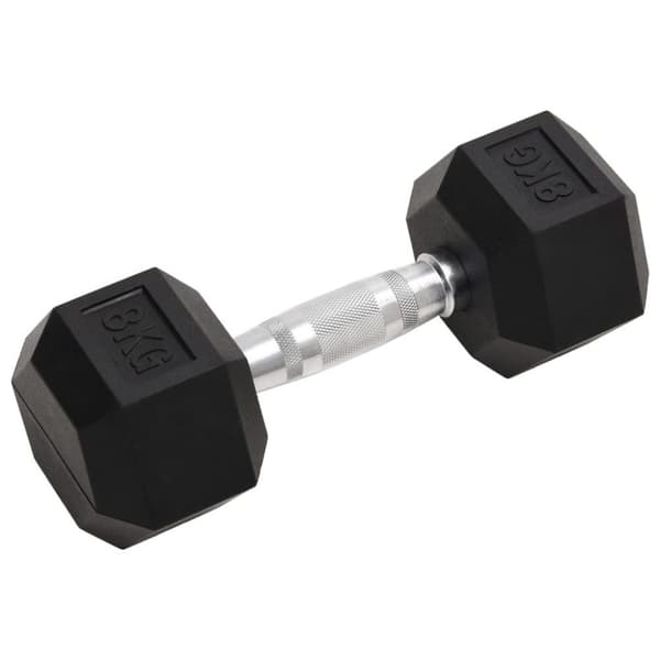 vidaXL Hantlar 2 st 16 kg gjutjärn