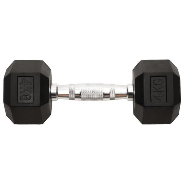 vidaXL Hantlar 2 st 8 kg gjutjärn