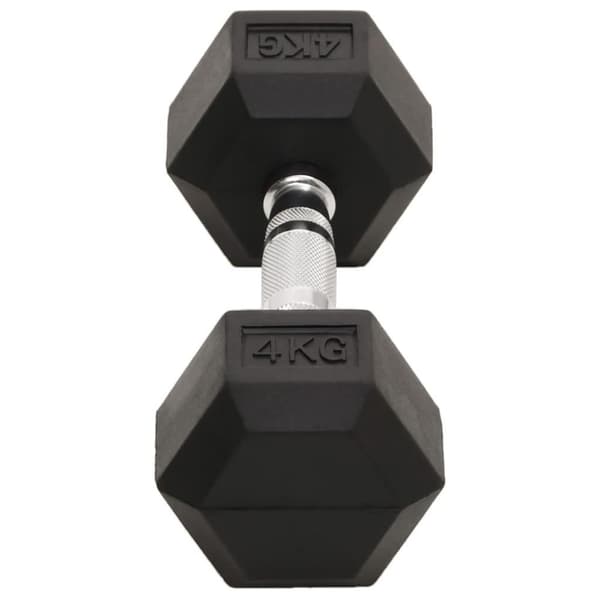 vidaXL Hantlar 2 st 8 kg gjutjärn