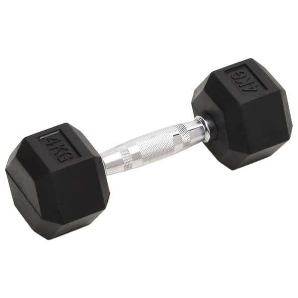 vidaXL Hantlar 2 st 8 kg gjutjärn