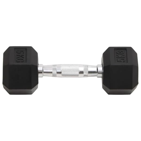 vidaXL håndvægte 2 stk. 10 kg støbejern