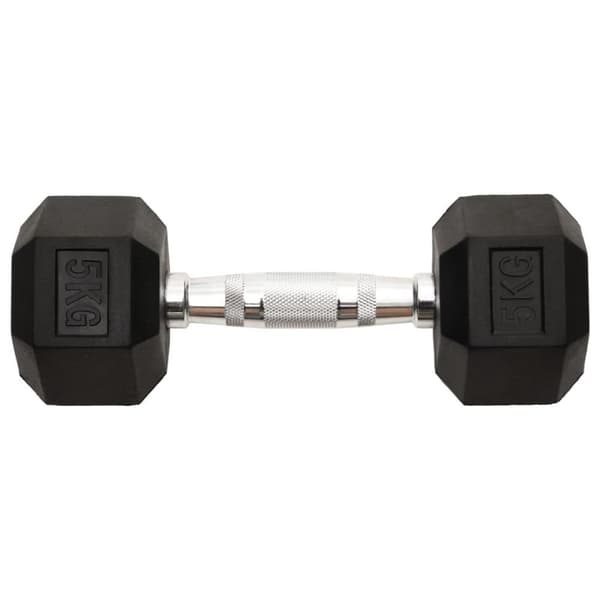 vidaXL håndvægte 2 stk. 10 kg støbejern