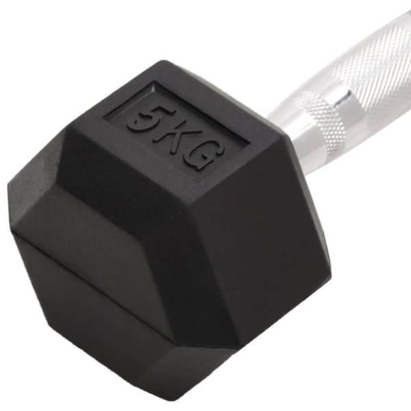 vidaXL håndvægte 2 stk. 10 kg støbejern