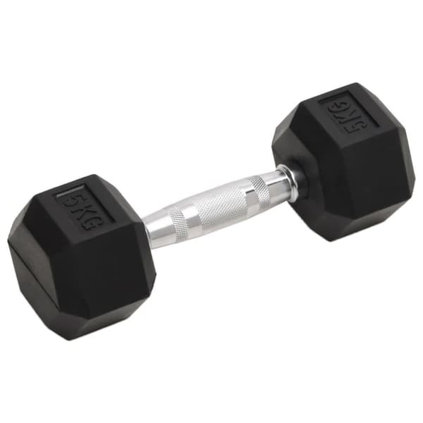 vidaXL håndvægte 2 stk. 10 kg støbejern
