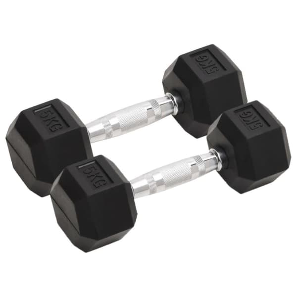 vidaXL Käsipainot 2 kpl 10 kg valurauta
