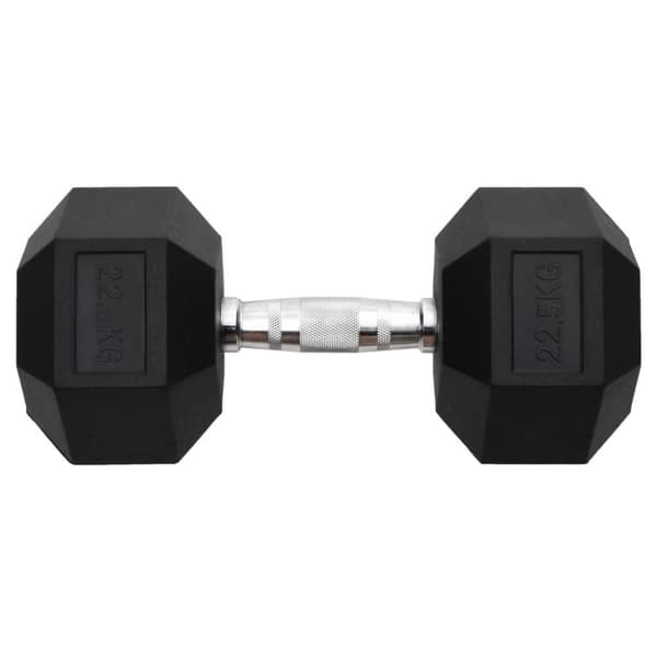 vidaXL Käsipaino 22,5 kg valurauta