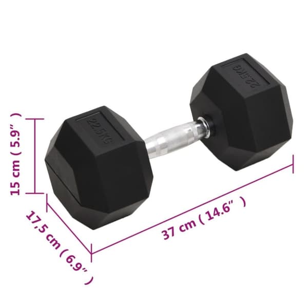 vidaXL Käsipaino 22,5 kg valurauta