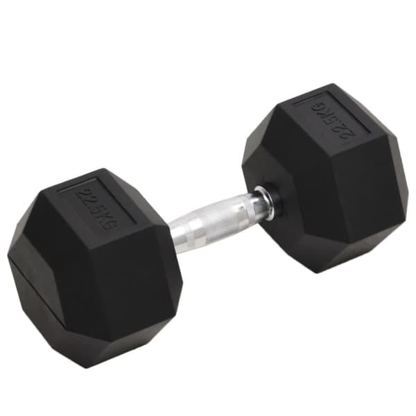vidaXL Käsipaino 22,5 kg valurauta