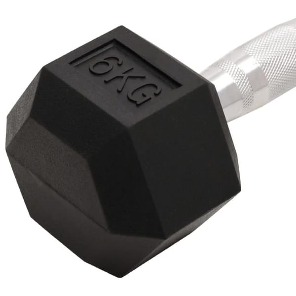 vidaXL håndvægte 2 stk. 12 kg støbejern