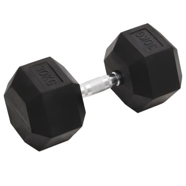 vidaXL Hantel 30 kg gjutjärn