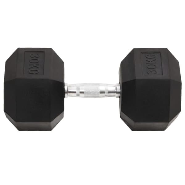 vidaXL håndvægt 30 kg støbejern