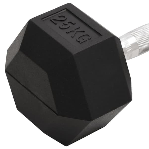 Käsipaino 25 kg valurauta