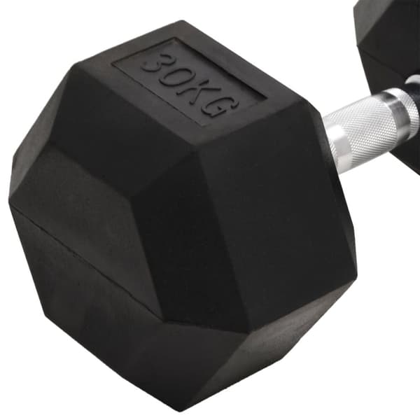 Hantel 30 kg gjutjärn