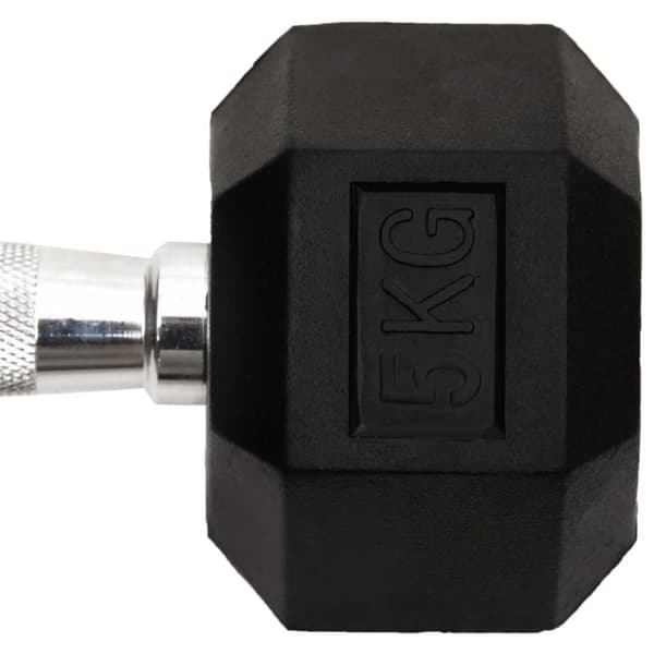 Hantlar 2 st 10 kg gjutjärn