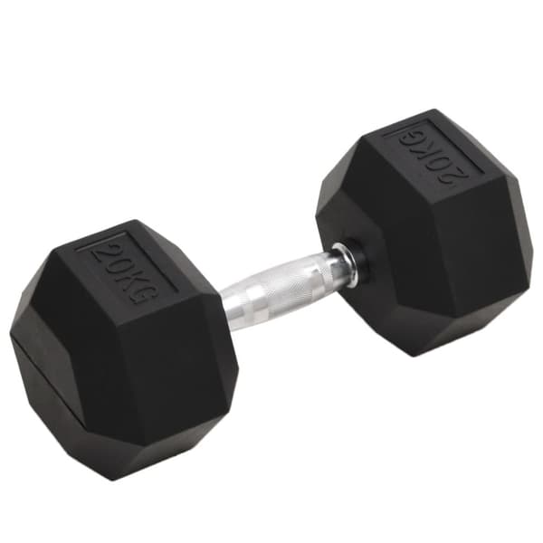 Hantel 20 kg gjutjärn