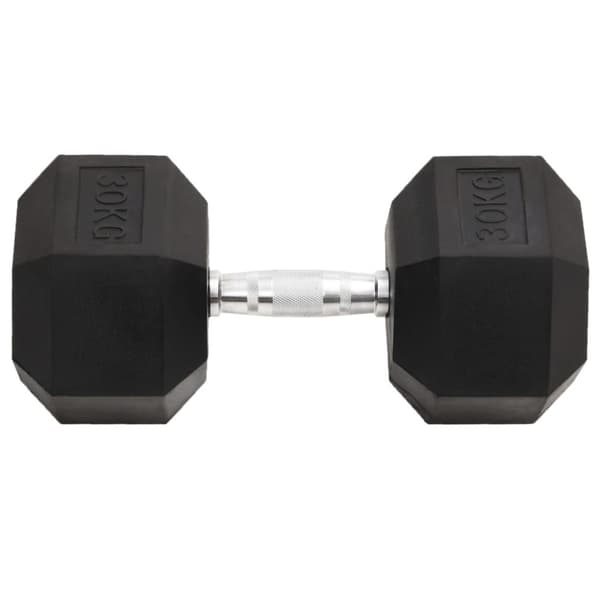 Hantel 30 kg gjutjärn